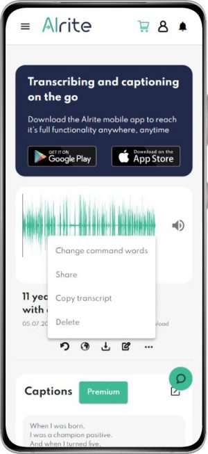 Alrite speech-to-text app 'file data sheet' screen